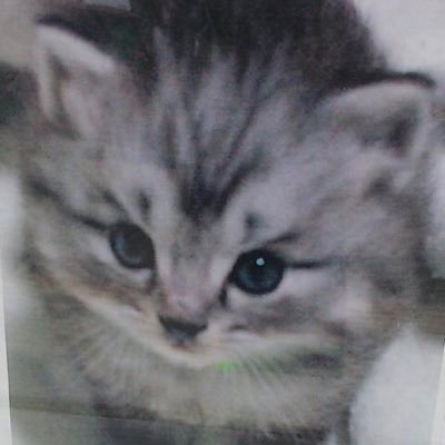 1991年に兄弟から生体腎移植を受けて、16年間元気に過ごせていましたが、16年目の2007年から原疾患で再透析。2012年からは在宅血液透析を秋田県初で導入しました。元気に暮らしてます。