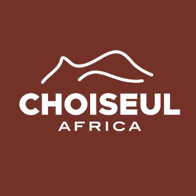 The Choiseul Africa Initiative gathers all the activities initiated and carried out by the Institut Choiseul for Africa. 🌍🤝

#CABF #Choiseul100Africa