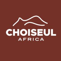 Choiseul Africa(@ChoiseulAfrica) 's Twitter Profile Photo