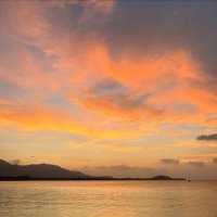 nws_🍀 (@nws_pj) 's Twitter Profile