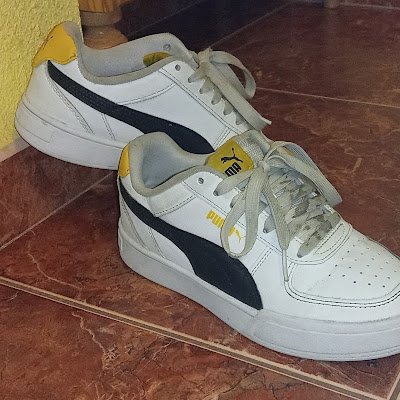 lugator89174's profile picture. 