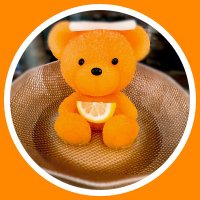 たつろー (@all_in_bear) 's Twitter Profile