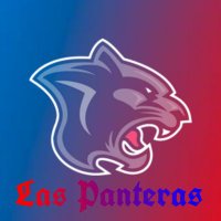 Las Panteras ๐ (@laspanterasfcb) 's Twitter Profile