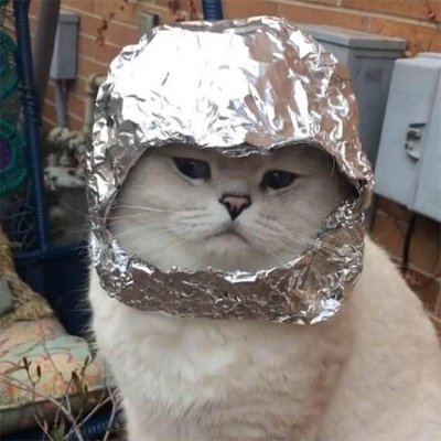 Just a cat wif foil, protecting against radiation/5g/soljeets
https://t.co/bKqjYuZALS

4kwRWwYX2qGxWGrvJNHcXv1E2bBLLtKDwxeZWqkXznXq