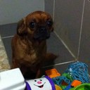 Kathy Munro - @Kat388Kathy - Twitter