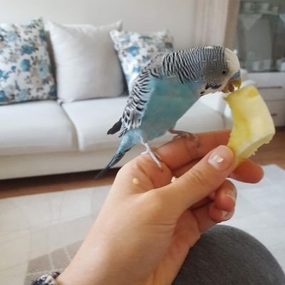 ygtkmn4059's profile picture. 