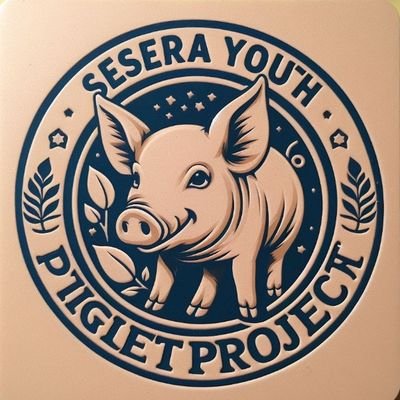 SESERAYOUTH Profile Picture