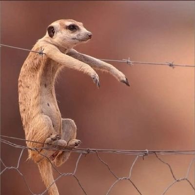 KaraniAustin's profile picture. 