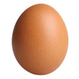 just an egg