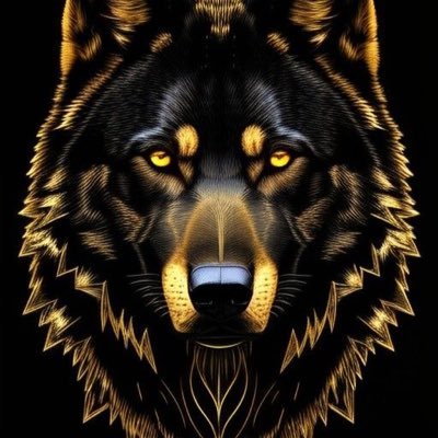 JKNinjaGM's profile picture. 