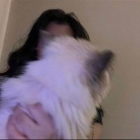 أصايل | نايس ون HR501 (@asayl490) Twitter profile photo