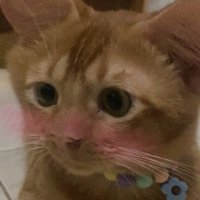 lagi gendong Oi (@juurinomono) 's Twitter Profile Photo lagi gendong Oi (@juurinomono) 's Twitter Profile Photo