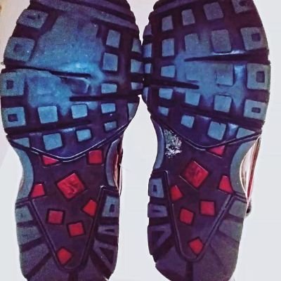 frenchtrample's profile picture. Lille, France 🇲🇫