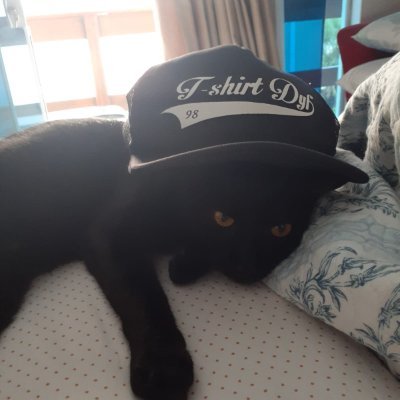 jacksonAmartins's profile picture. "Uma pessoa inteligente sabe como falar. Uma pessoa sábia sabe quando ficar em silêncio"
Roy T. Bennett