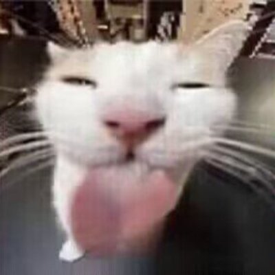 红糖emmmさんのプロフィール画像