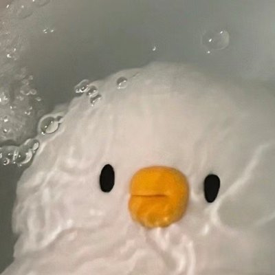 🗻さんのプロフィール画像