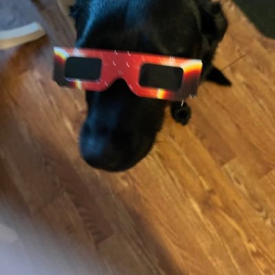 Avi4837's profile picture. Very chill dude