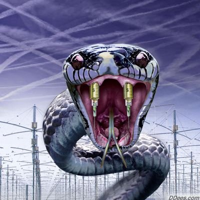 Rubiodj777's profile picture. Vive y deja vivir.... Aprende de los errores de pasado para construir un buen futuro.