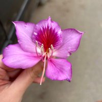 :) (@plsleavemealon_) 's Twitter Profile