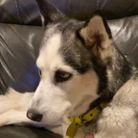 OkiePatriot (@marsha8180) 's Twitter Profile