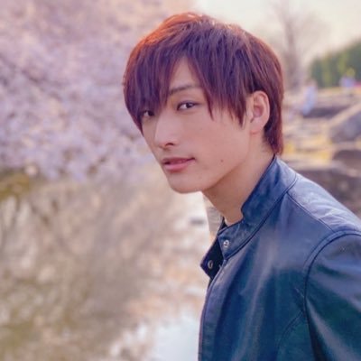 shima_shin0803 Profile Picture