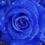 S. T. س ل ا /م ا ت. (@saleh_talleb) 's Twitter Profile