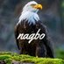 Nagbo (@nagbo_) Twitter profile photo