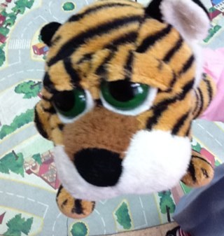 dragon0o's profile picture. 