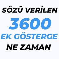 Semra Pektopal (@spektopal) 's Twitter Profile