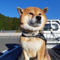 胡麻柴マサル (@taku23056035) 's Twitter Profile Photo