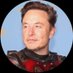 ElonMusk(parody) (@ElonMuskCEO137) Twitter profile photo