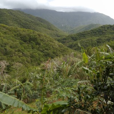 PanAcluc's profile picture. Waos