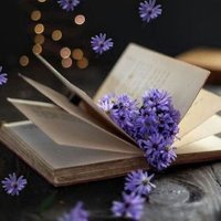 تيماء🌷 (@syn492595863824) 's Twitter Profile