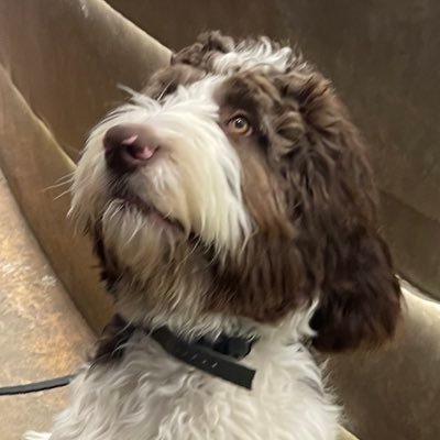 Endeavourzzz's profile picture. Free Speech/Conservative/God is Great!