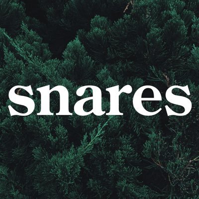 snares are used by fowlers | musings on the future of humanity, AI 🌲🏕️ e/acc
