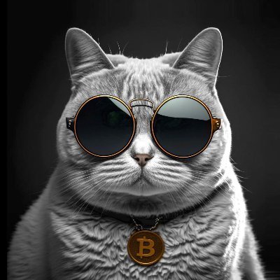 1. Whats the cash position / is a placing due 2. Has the CEO bought 3. Do they have debt 4. Reputation / do they meet milestones 5. Valuation...is it cheap.