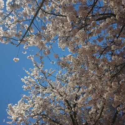 한아담さんのプロフィール画像
