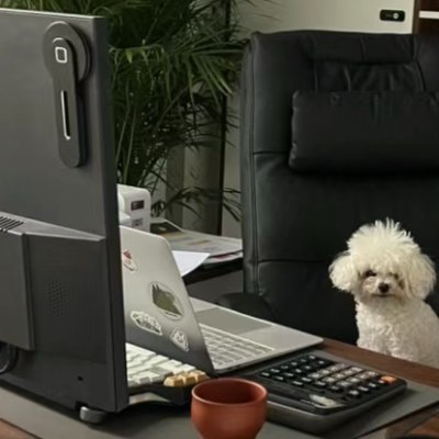 adamsax17's profile picture. 