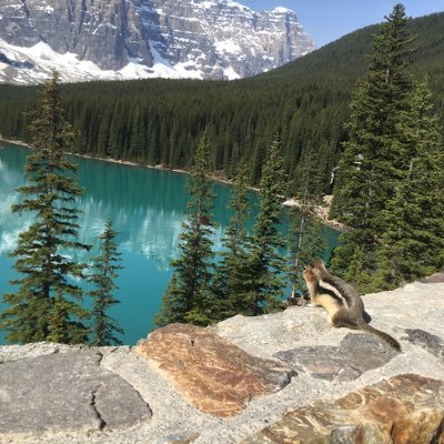 dreamertocanada's profile picture. ワーママ歴5年→退職し2024.6～家族4人（5歳👩・3歳👦）でカナダ移住→2024.9～公立大学でECE専攻→2026年現地で保育士を目指す。趣味はダンス、ヨガ、適度なお酒🍾