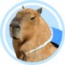 Capybara on Sui (@capybaraonsui) Twitter profile photo