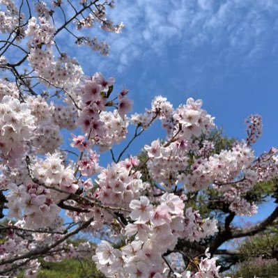 朝ドラを楽しんでいる、美味しい❣️楽しい❣️大好き💝な主婦です🤗