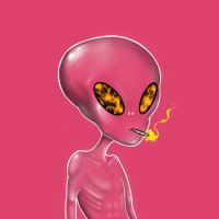 TaylanTrades (@taylantrades) 's Twitter Profile