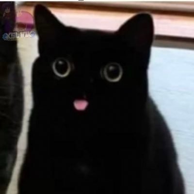 So retwito aleatóriedades Instagram lukas_azevedo.s