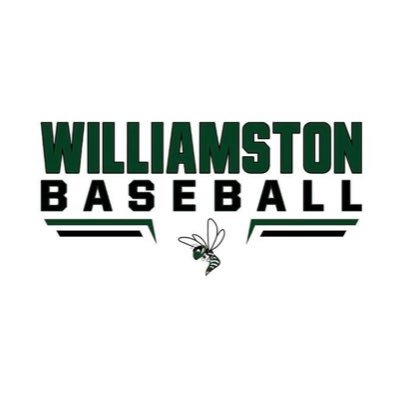 Williamston Michigan High School Baseball