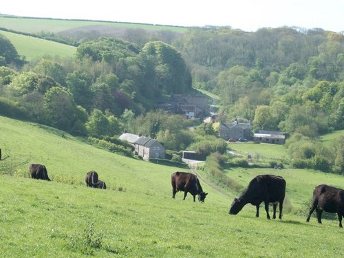 Gorwellfarm's profile picture. Come and stay in our comfortable 4 star self catering cottages in a secret valley on our family farm close to Dorset's Jurassic Coast.Wheelchair accessible.