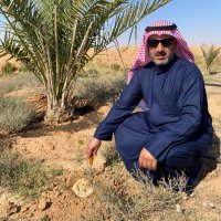 حمد الرويعى (@alajwade66) 's Twitter Profile