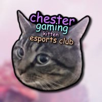 Chester Gaming (@chestergamingec) 's Twitter Profile