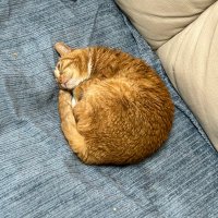 tkmafkng これからが、これまでを決める。 (@tkmafkng) 's Twitter Profile