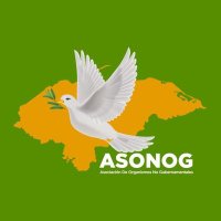 ASONOG(@AsonogOficial) 's Twitter Profile Photo