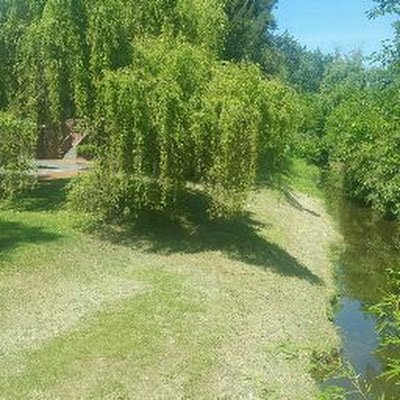 CarlosC94457's profile picture. 